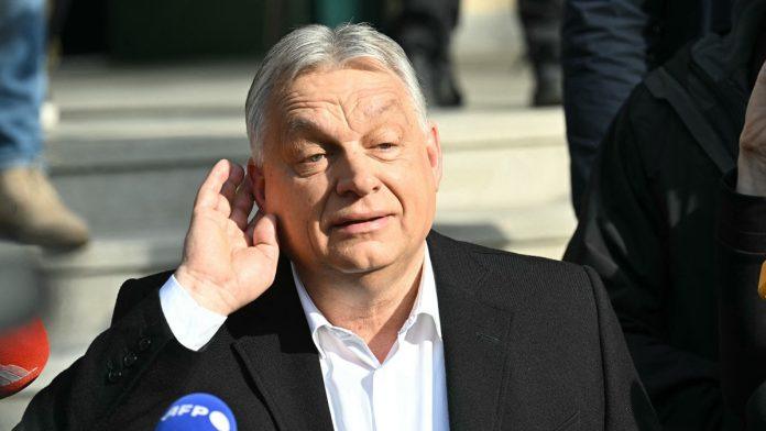 evo-kada-se-ocekuju-prvi-rezultati-izbora-u-madarskoj-tacno-u-ovo-vreme-ce-se-znati-–-orban-ili-madar