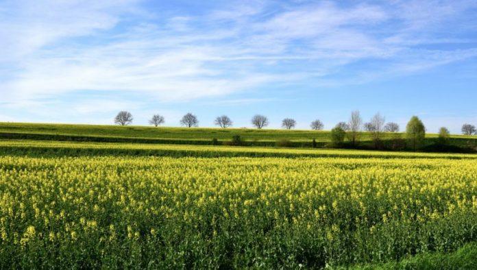 suncan-prolecni-dan,-evo-kada-stize-promena-i-nece-vam-se-svideti:-vremenska-prognoza-za-ponedeljak,-13.-april