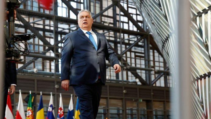 poruka-onima-sto-slave-pad-orbana:-pocnite-da-ucite-neki-zanat,-jer-necete-se-od-politike-leba-najesti