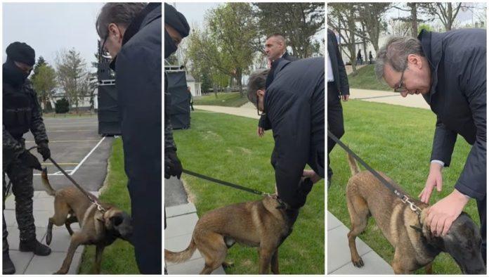 “milutin-je-takode-‘kobra’-–-neumoljiv,-opasan,-beskrajno-odan”-vucic-podelio-zanimljiv-snimak-–-njemu-eksploziv-ne-moze-da-promakne-(video)