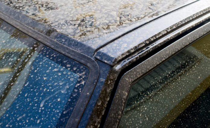 sta-je-“krvava-kisa”-i-koliko-je-opasna?-nebo-postaje-crveno,-a-kisa-izgleda-kao-krv-–-evo-sta-se-krije-iza-misterioznog-fenomena-koji-plasi-ljude