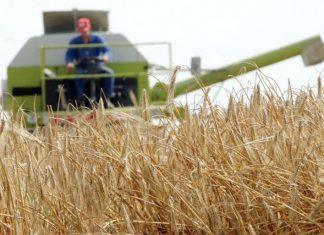 Stiže nova pomoć države: Evo ko može da se prijavi stize-nova-pomoc-drzave:-evo-ko-moze-da-se-prijavi
