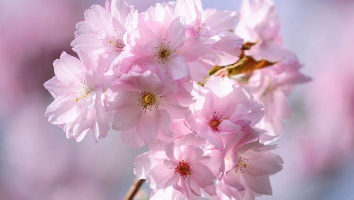 unajmila-je-bastovana-na-dva-sata:-zaledila-se-kada-joj-je-ispostavio-racun