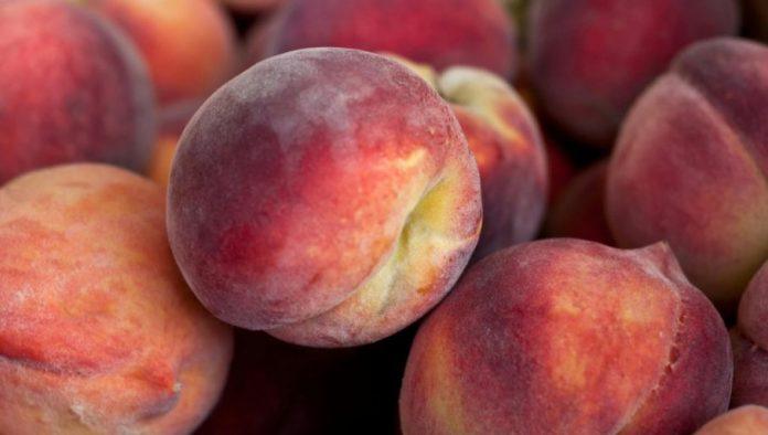 kako-zaraditi-na-breskvama,-cak-i-sa-malo-stabala:-saveti-za-vlasnike-manjih-plantaza