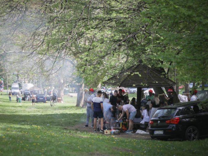 ako-idete-u-prirodu-ovo-morate-da-znate:-iz-trave-vrebaju-opasni-gmizavci-i-paraziti-–-evo-kako-da-se-zastitite