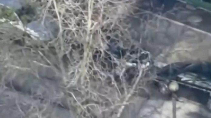 viralni-snimak-doveo-do-istrage-suspendovani-policajci-koji-su-pobegli-tokom-teroristickog-napada-u-kijevu