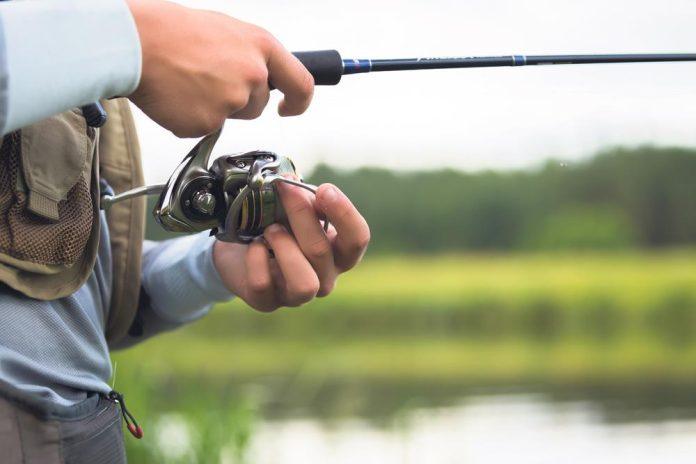 ribolov-sarana-privremeno-zabranjen-na-kim:-tokom-ovog-perioda-dozvoljen-iskljucivo-princip-“uhvati-i-pusti”
