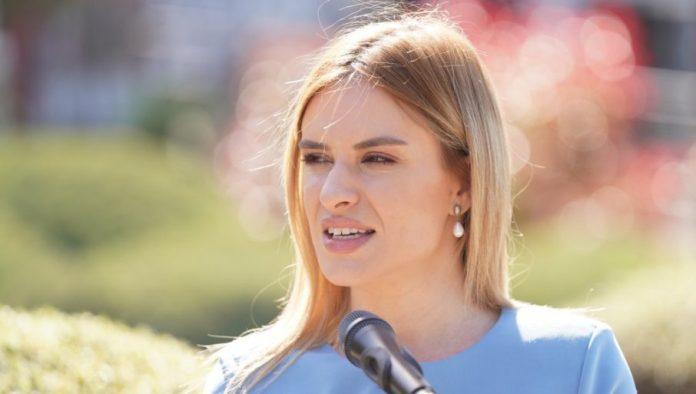 “dokic-otvoreno-zloupotrebljava-svoju-poziciju”-milica-durdevic-stamenkovski:-rektor-univerziteta-ne-sme-da-obavlja-stranacke-funkcije