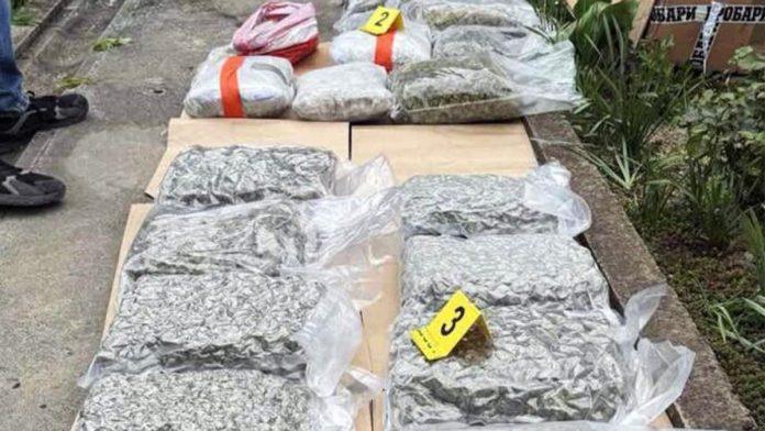 mladicu-iz-kikinde-odreden-pritvor-policija-pronasla-14-kilograma-marihuane:-sumnja-se-da-je-bila-namenjena-za-dalju-prodaju