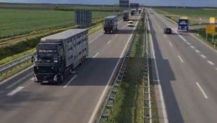 otvoreno-jos-jedno-trziste:-srbija-izvezla-8-hiljada-jagnjadi-u-libiju