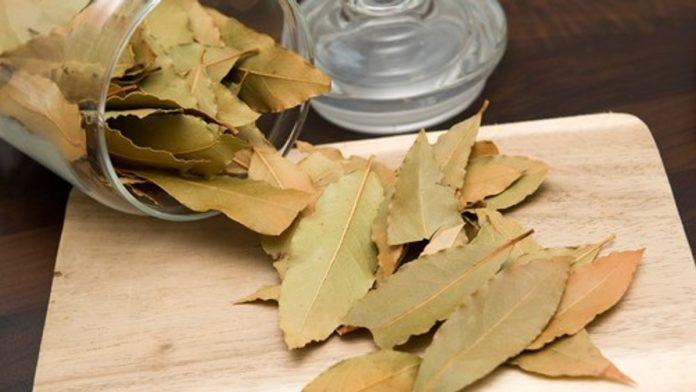 rasporedite-lovorov-list-po-kuhinji,-ustedecete-silne-pare-i-resicete-se-velikog-problema