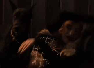 DRAMA NA SNIMANJU NOVOG SPOTA! Pas SKOČIO na Maju Berović: Pevačica doživela neprijatnost, set odmah PREKINUT! (VIDEO) drama-na-snimanju-novog-spota!-pas-skocio-na-maju-berovic:-pevacica-dozivela-neprijatnost,-set-odmah-prekinut!-(video)