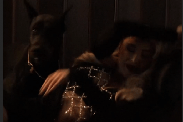 drama-na-snimanju-novog-spota!-pas-skocio-na-maju-berovic:-pevacica-dozivela-neprijatnost,-set-odmah-prekinut!-(video)