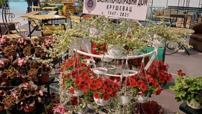 diplome-za-uspesne-prezentacije:-sest-kazneno-popravnih-ustanova-izlagalo-na-medunarodnom-sajmu-holtikulture-u-beogradu