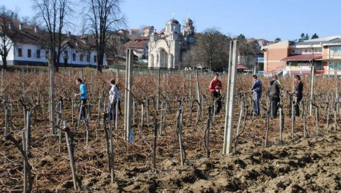 za-preradu-mleka-u-srbiji-se-skoluje-–-17-daka:-srednje-skole-za-poljoprivredu-i-prehranu-pred-gasenjem