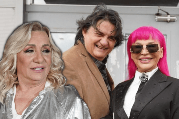 ovo-je-prava-istina-o-krahu-braka-vesne-zmijanac-i-kemisa!-sokantno-priznanje-pevacice-–-evo-da-li-je-zorica-kriva-za-razvod!