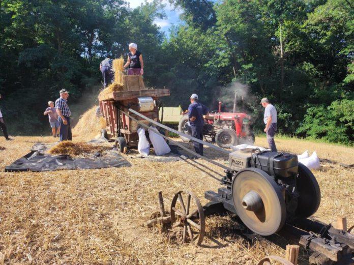 zlatna-buklija-za-“aran”:-novo-priznanje-pantelicima-u-velikoj-plani-(foto)
