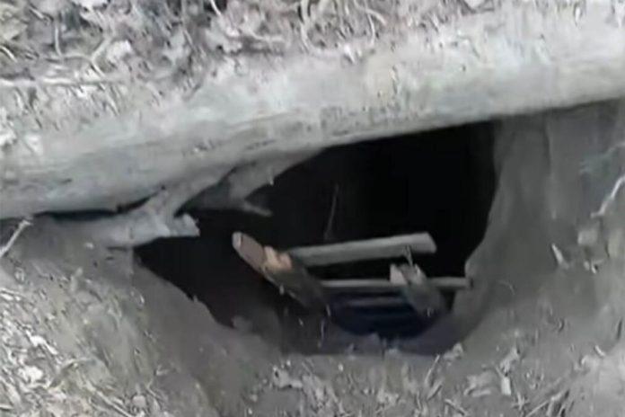 (video)-otkrivene-merdevine-nasred-fruske-gore-koje-vode-u-duboki-ambis-misterija-u-sumi,-stiglo-dramaticno-upozorenje:-neko-je-ovde-silazio?