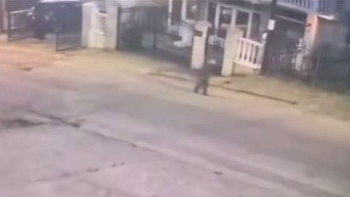 kraj-drame-u-nisu-pronaden-decak-(6)-koji-je-nestao-nakon-sto-se-igrao-s-bratom-blizancem-u-dvoristu