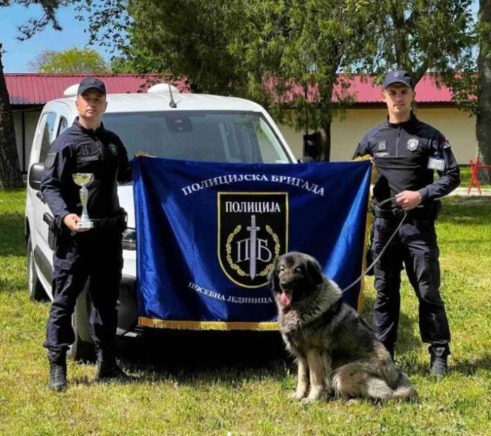 iskra-iz-policijske-brigade-odusevila-sarplaninka-osvojila-prvo-mesto-i-cac-titulu-u-zabeli-(foto)