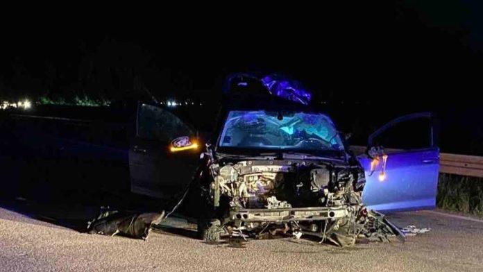 poginuo-mladic-(20)-kod-kraljeva!-stravicna-saobracajna-nesreca:-automobil-u-potpunosti-unisten,-dve-osobe-povredene-(foto)