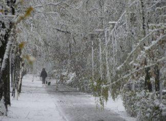 Sneg, pa mraz u Srbiji: Ovakav početak maja sigurno niste očekivali sneg,-pa-mraz-u-srbiji:-ovakav-pocetak-maja-sigurno-niste-ocekivali