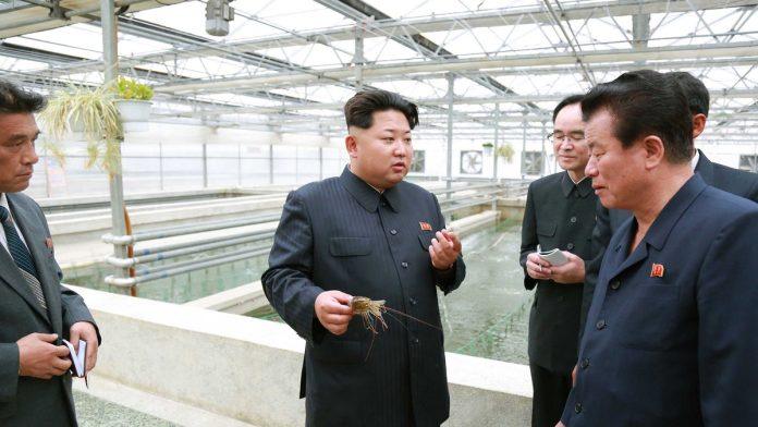 streljaju-trudnice-i-decu,-tuku-buzdovanima-do-smrti…-isplivao-tajni-dokument-o-brutalnim-pogubljenjima-u-severnoj-koreji:-otkriveno-na-koji-nacin-umiru-ljudi-koji-naljute-kim-dzong-una