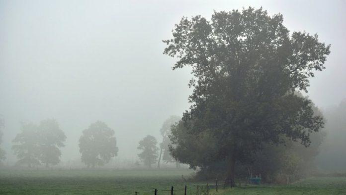 temperature-kao-da-je-novebar:-za-1.-maj-u-debeloj-odeci,-a-na-lepo-vreme-cemo-jos-morati-da-cekamo