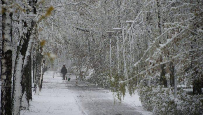 temperature-idu-u-minus,-moguc-i-sneg:-evo-u-kojim-delovima-srbije-ce-vreme-biti-najkriticnije