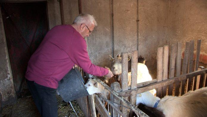 “aco,-sine,-nema-majka-hleba-da-ti-da”-nas-pevac-odrastao-u-teskom-siromastvu,-a-danas-ima-imperiju:-“nisam-imao-sta-da-jedem”