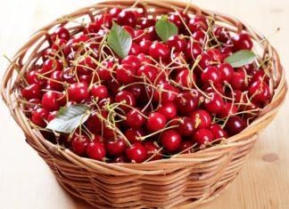 Stiže olakšanje: Trešnje ove godine neće biti luksuz stize-olaksanje:-tresnje-ove-godine-nece-biti-luksuz