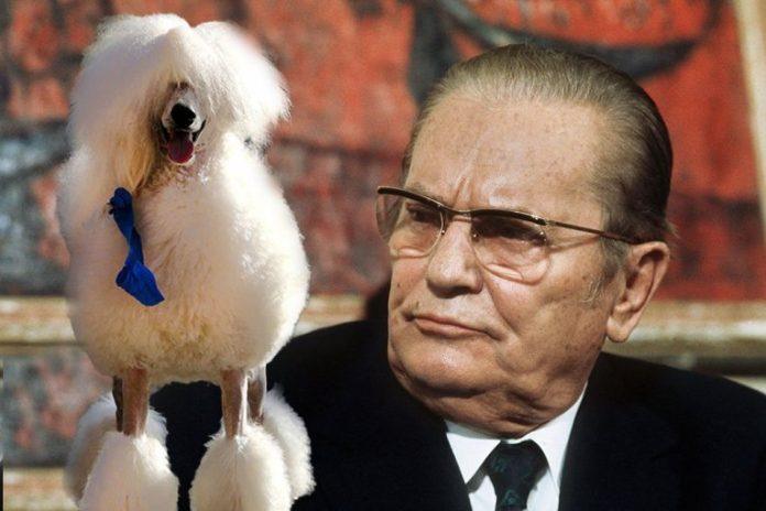 “titova-pudlica-krenula-da-me-ujede”-pred-marsalom-se-odigrao-pravi-cirkus,-a-ona-je-mislila-samo-na-ovo!