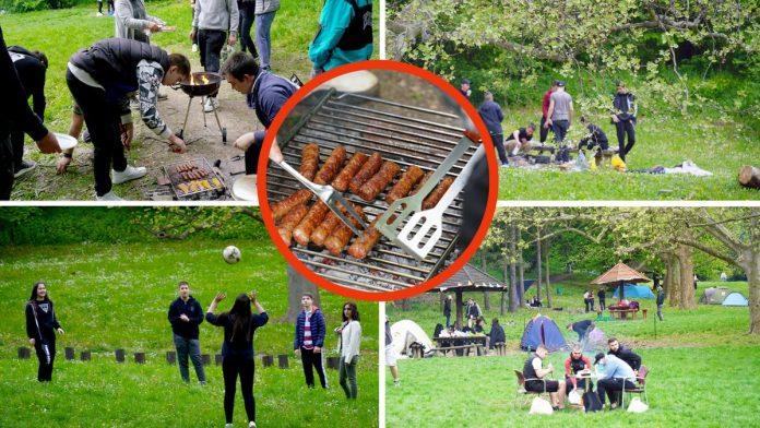 koliko-dugo-meso-i-salate-smeju-da-stoje-na-suncu-pre-nego-sto-postanu-opasni