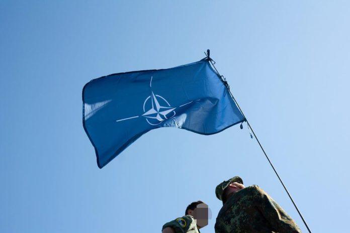 lazne-nade-vlasti-u-pristini!-analiticari:-ulazak-tzv.-kosova-u-nato-ni-izbliza-nije-na-dnevnom-redu-jer-ne-ispunjavaju-standarde-za-ulazak-u-alijansu!