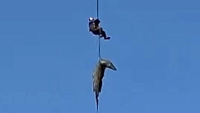 krokodil-od-pola-tone-progutao-biznismena!-policajca-spustili-u-“reku-smrti”:-kada-su-rasporili-zver,-usledio-je-sok-(foto,-video)