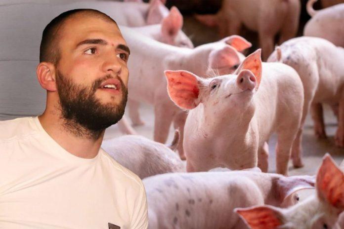 ovo-je-pravo-lice-veljka-raznatovica:-progovorili-radnici-s-njegove-farme-svinja!