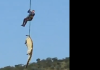 Postoji JEZIV RAZLOG zašto ovaj krokodil nije mogao da potone: Policija je iz njegovog želuca izvukla LJUDSKE UDOVE i dokaze o još 5 žrtava! (VIDEO) postoji-jeziv-razlog-zasto-ovaj-krokodil-nije-mogao-da-potone:-policija-je-iz-njegovog-zeluca-izvukla-ljudske-udove-i-dokaze-o-jos-5-zrtava!-(video)