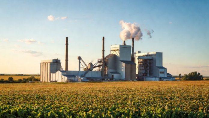 srbija-jaca-industriju-secera:-strucnjaci-o-nameri-mk-grupe-da-preuzme-seceranu-u-crvenki