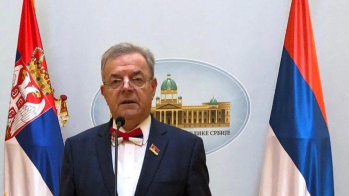 “pokret-snaga-srbije-–-braca-karic”-izlazi-na-izbore:-“porodica-je-snaga-srbije-–-jaka-porodica-je-jaka-srbija”