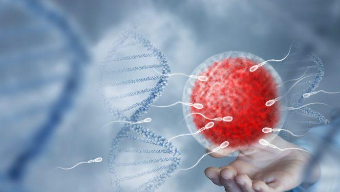 prva-transplantacija-na-svetu:-muskarac-povratio-odrzivu-spermu-iz-tkiva-testisa-iz-detinjstva