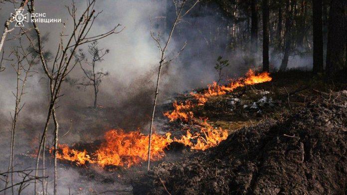 (foto,-video)-gori-cernobilj!-veliki-pozar-buknuo-posle-pada-drona,-ogroman-oblak-dima-iznad-podrucja,-jak-vetar-i-opasnost-od-mina-otezavaju-gasenje