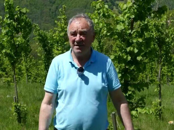 radisav-se-iz-austrije-vratio-u-selo-kod-bajine-baste-i-zasadio-hiljade-stabala-–-napravio-svoju-sumu-(foto)