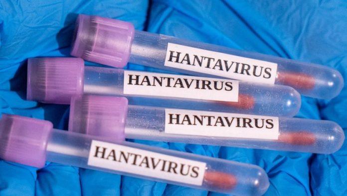 sta-zapravo-znaci-treci-nivo-odgovora-zbog-hantavirusa:-epidemiologe-brine-jedan-detalj