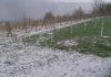 STIŽE SNAŽNO NEVREME, RHMZ PALI NARANDŽASTI METEO ALARM: Ovi delovi Srbije biće na najjačem udaru, padaće i grad (foto) stize-snazno-nevreme,-rhmz-pali-narandzasti-meteo-alarm:-ovi-delovi-srbije-bice-na-najjacem-udaru,-padace-i-grad-(foto)