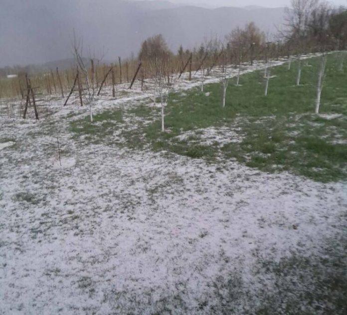 stize-snazno-nevreme,-rhmz-pali-narandzasti-meteo-alarm:-ovi-delovi-srbije-bice-na-najjacem-udaru,-padace-i-grad-(foto)
