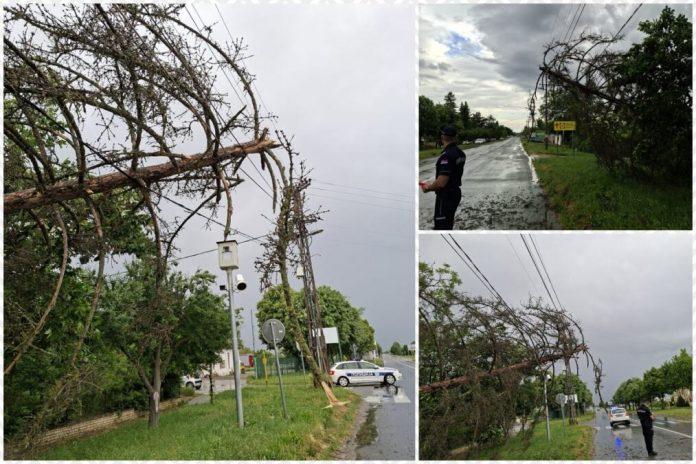 nevreme-pravi-haos-po-srbiji!-grad-tuce-ovaj-grad,-sever-srbije-pod-naletom-padavina,-a-vetar-cupa-drvece:-pogledajte-kako-oluja-razara!-(foto,-video)