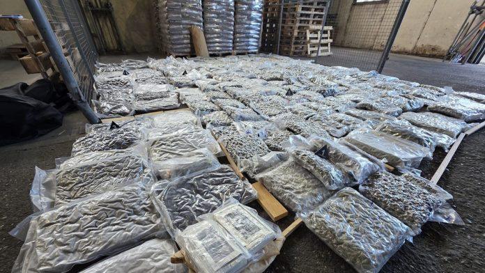 u-kamionu-prevozio-200-kg-marihuane-i-2,4-kg-kokaina!-uhapsen-novosadanin-(52)-na-batrovcima-(foto)
