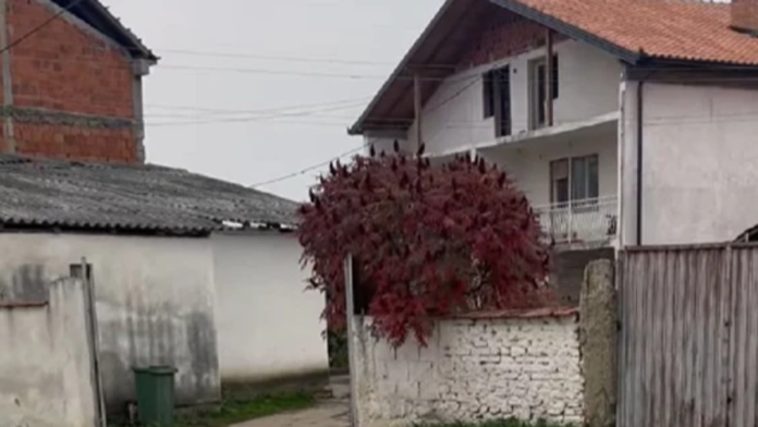 stara-trosna-kuca-bez-ograde-ovde-je-nekada-zivela-nasa-pevacica-koja-danas-ima-milione:-nikad-nije-zaboravila-svoje-korene-(foto)