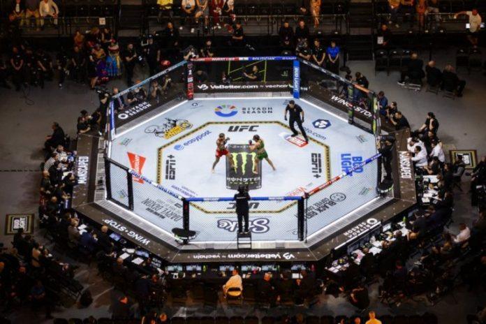 divne-vesti!-jos-dva-srpska-borca-potvrdena-za-ufc-spektakl-u-beogradu!