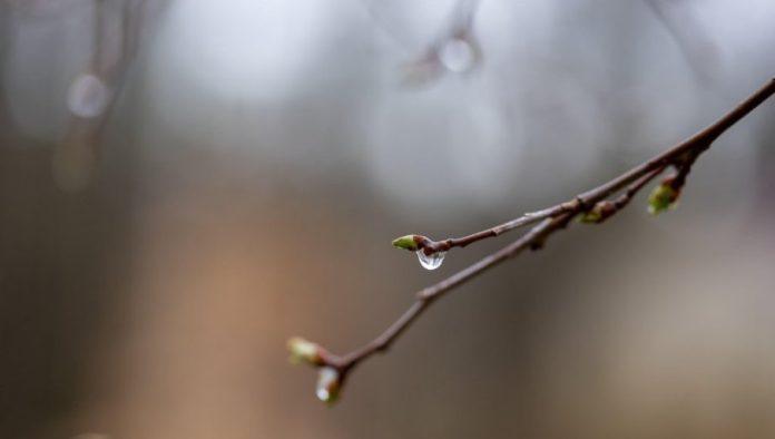 danas-smena-sunca-i-oblaka:-najvisa-dnevna-temperatura-do-26-stepeni